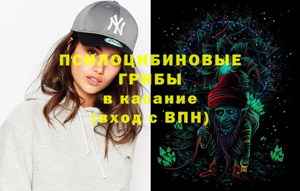 круглые Алзамай