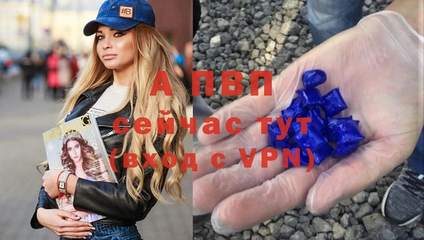 стаф Алексеевка
