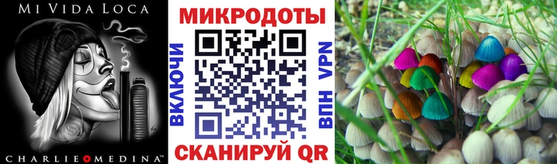 Галлюциногенные грибы мицелий  Далматово 